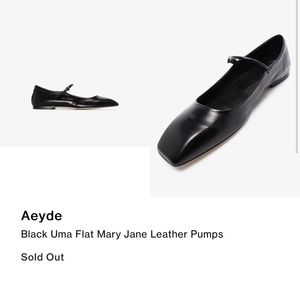 ISO aeyde uma ballet flats